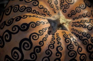 Balkabağında mehendi. Cadılar Bayramı tedavi arka planı. 