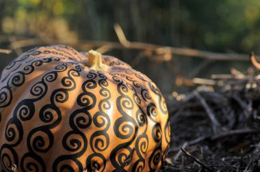 Balkabağında mehendi. Cadılar Bayramı tedavi arka planı. 