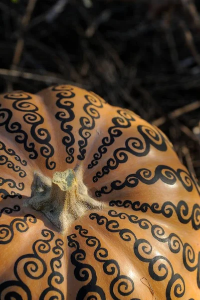 Mehendi Een Pompoen Halloween Traktatie Achtergrond — Stockfoto