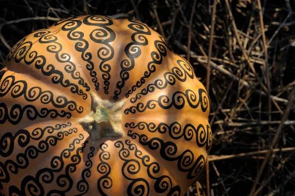 Mehendi Dýni Halloween Léčit Pozadí — Stock fotografie