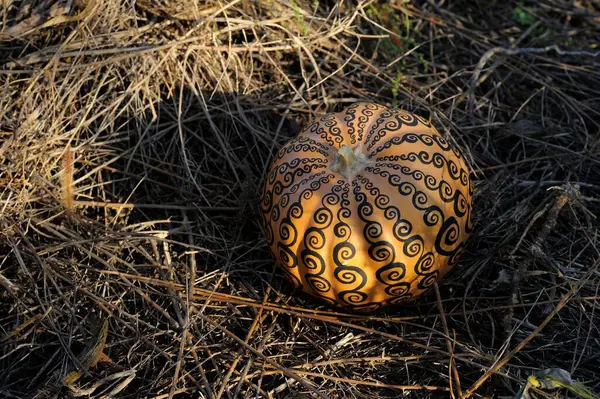 メヘンディがカボチャに ハロウィンの背景を扱う — ストック写真