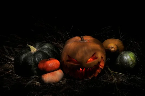 Helloween Pumpa Huvud Jack Med Ljus Svart Bakgrund Läskig Helvetessymbol — Stockfoto