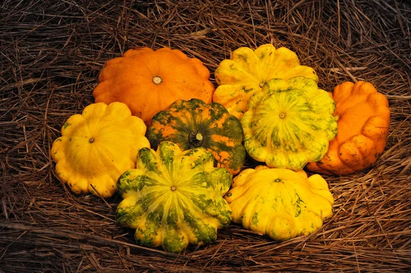 Harvest Festival — Stock Photo, Image