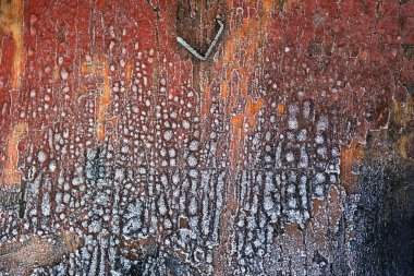 Ahşap tahta ölçekleme