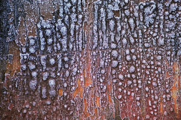 Scaling Wooden Board — Stock Photo, Image