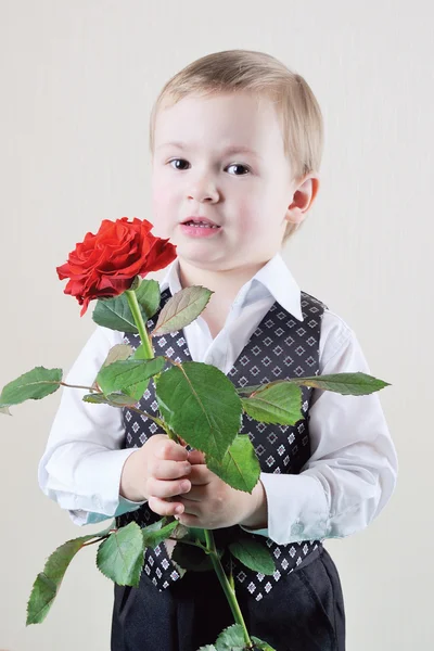 Un pequeño caballero con Rose —  Fotos de Stock