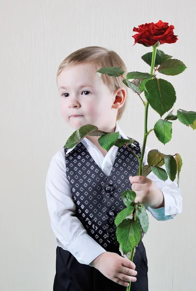 Un pequeño caballero con Rose —  Fotos de Stock