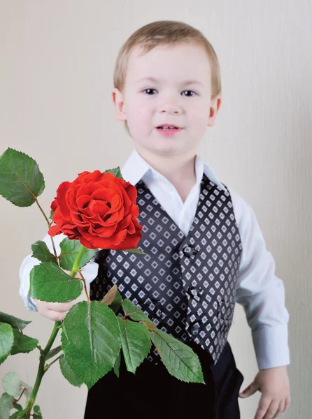 Un pequeño caballero con Rose —  Fotos de Stock