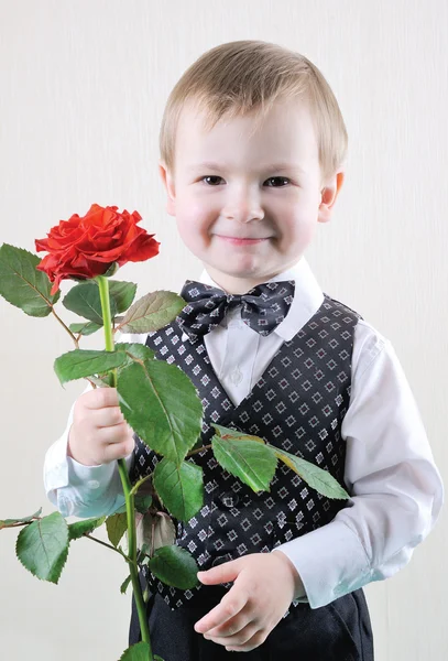 Un pequeño caballero con Rose —  Fotos de Stock