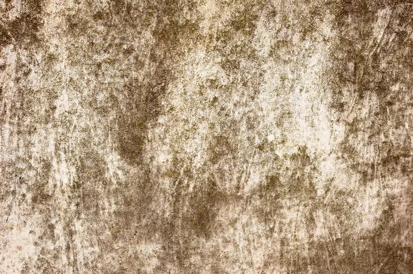 Mur enduit recouvert de mousse — Photo
