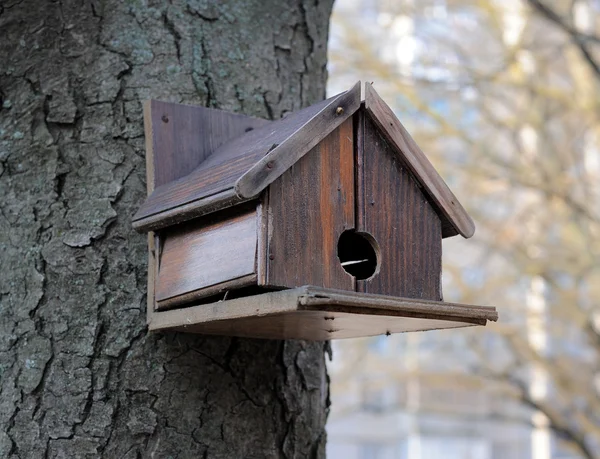 Nestbox ptak — Zdjęcie stockowe