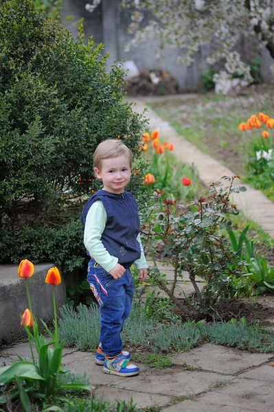 Un niño en el jardín —  Fotos de Stock