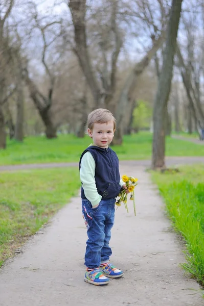 A Little Boy Holding Dandelion Flower — Stock Photo, Image