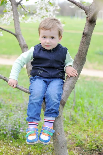 Boy Sitting on Cherry Tree — Stock Photo, Image