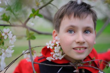 Bir çocuk ve çiçek açması kiraz