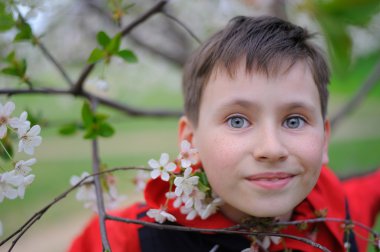 Bir çocuk ve çiçek açması kiraz