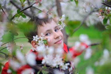 Bir çocuk ve çiçek açması kiraz