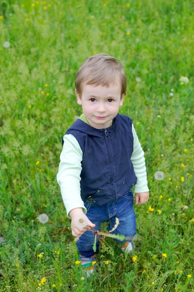 タンポポの花を保持している小さな男の子 — ストック写真