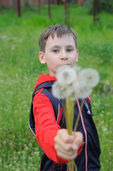 A Boy Holding Dandelion — Stock Photo, Image