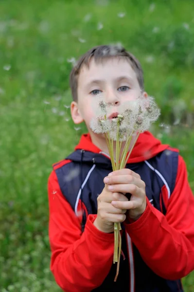 Blowing a Dandellions — Stock Photo, Image