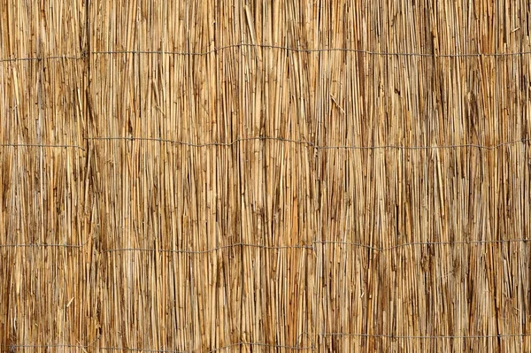 Reed riet geweven muur — Stockfoto