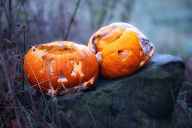 Çürümüş iki kabağa yakın plan, zengin organik dokular sergiliyor. Balkabakları soğuk çimenlerle çevrili bir taşın üzerinde uzanır. Açık bir sonbahar ortamında doğal yaşlanma sürecinin altını çizerler..