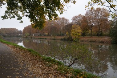 Nehirli sonbahar manzarası ve şehir parkında sarı ağaçlar