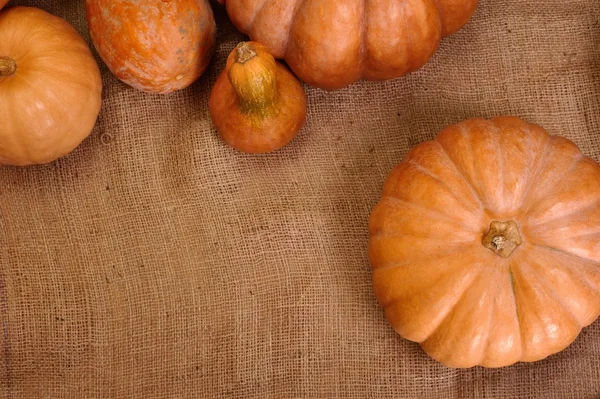 Autumn pumpkin background for scrapbooking — Stock Photo, Image