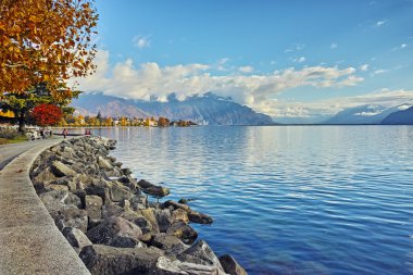 sonbahar ağacında setin Vevey kasaba ve Cenevre Gölü, Vaud Kantonu