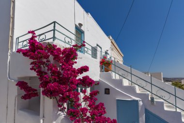 Kasaba Parakia, Paros Adası, Cyclades mavi çatılı beyaz chuch