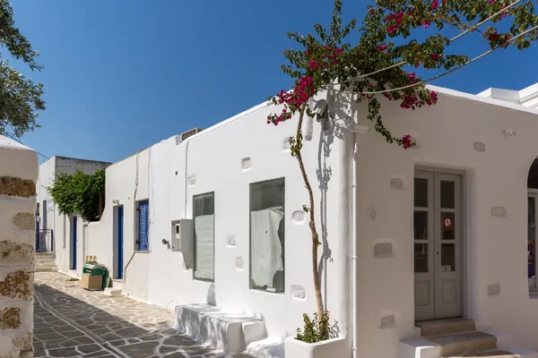 Vita hus med blommor i staden av Parakia, ön Paros, Cykladerna — Stockfoto