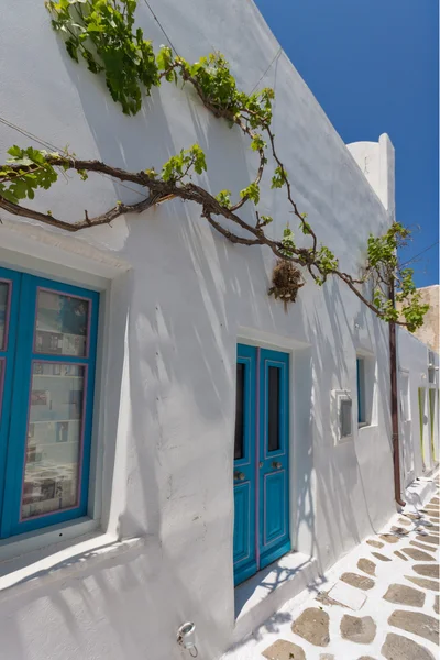 Vitigno verde sulla tipica casa bianca nel comune di Naoussa, isola di Paros, Cicladi — Foto Stock