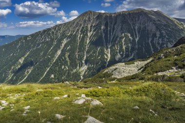 Yeşil hils Todorka tepe, Pirin Dağı