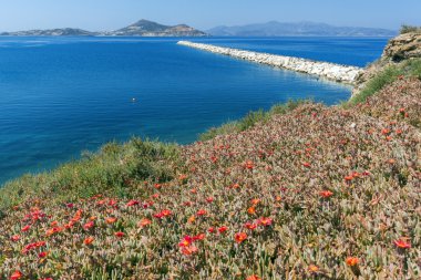 Bağlantı noktası Chora şehir, Naxos Adası, Cyclades görünümünü Paoramic