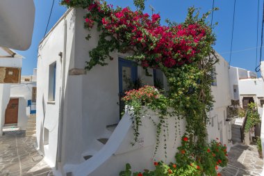 Beyaz Saray Chora şehir, Naxos Adası, Cyclades kırmızı çiçeklerle kaplı