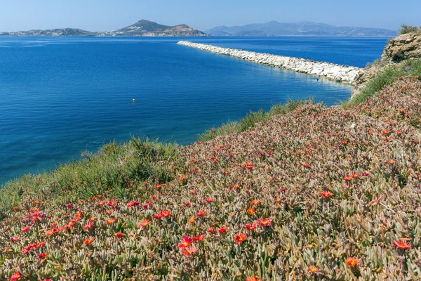 Bağlantı noktası Chora şehir, Naxos Adası, Cyclades görünümünü Paoramic