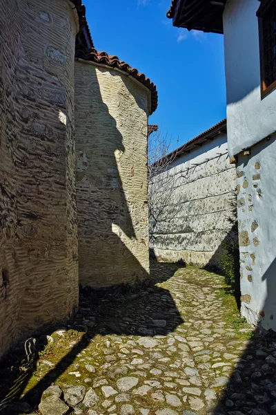 Pohled na klášter narození Matky Boží, Blagoevgradská oblast Rozhen — Stock fotografie