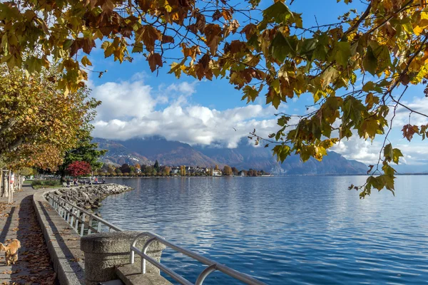 Vista de otoño de Embankment, Vevey, cantón de Vaud — Foto de Stock