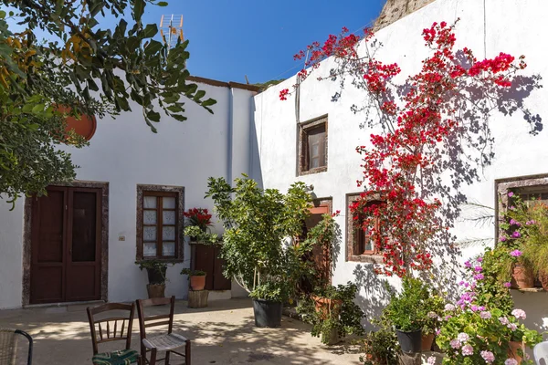 Flowers in Panagia Episkopi Church in Santorini island, Thira, Cyclades, Greece — Stock Photo, Image