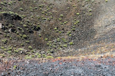 Santorini, Yunanistan bahar çiçekleri kanal yanardağ Nea kami Island'deki/daki oteller