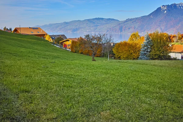 トゥーン湖、インターラーケンの町の近くの典型的なスイス村の全景 — ストック写真