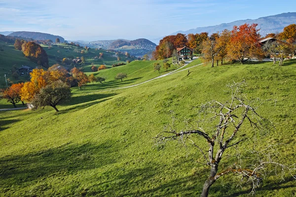 Prados verdes y pueblo típico de Suiza cerca de la ciudad de interlaken —  Fotos de Stock