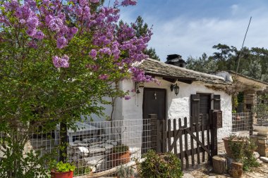 Eski taş ev ve mor çiçekler Köyü, Aliki, Thassos Island, Yunanistan 