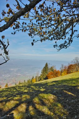 Şaşırtıcı sonbahar Panorama Dağı Rigi, Alpler yakınındaki