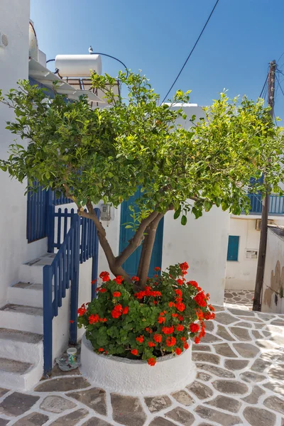 Case bianche con fiori nel comune di Parakia, isola di Paros, Grecia — Foto Stock