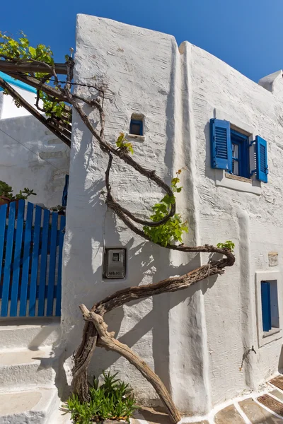 White houses with vine in town of Parakia, Paros island, Greece — стокове фото