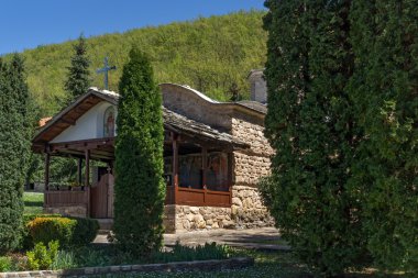 Ortaçağ kilise Temski Manastırı St George, Sırbistan