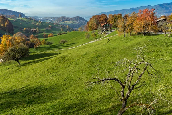 Increíble vista de otoño del típico pueblo suizo cerca de la ciudad de Interlaken —  Fotos de Stock