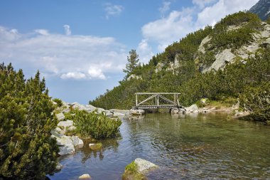 Pirin Dağı Nehri üzerinde ahşap köprü