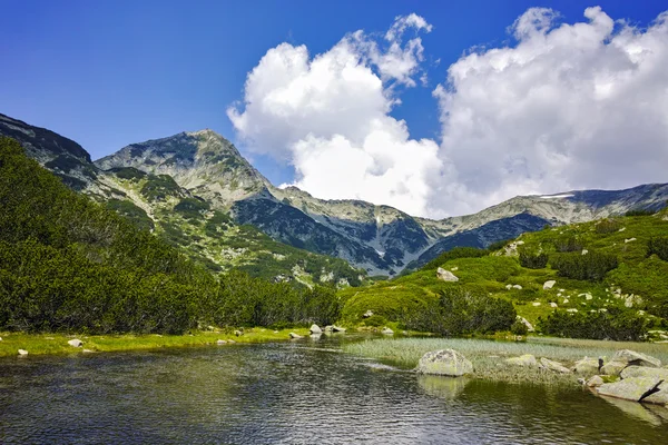 Pemandangan menakjubkan dari puncak Muratov dan sungai pegunungan di Gunung Pirin — Stok Foto